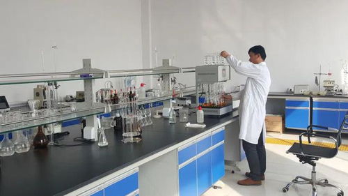 東營(yíng)港經(jīng)濟(jì)開(kāi)發(fā)區(qū) 以企業(yè)技術(shù)改造為抓手，驅(qū)動(dòng)產(chǎn)業(yè)轉(zhuǎn)型升級(jí)與技術(shù)開(kāi)發(fā)新突破